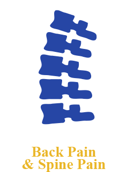 Back Pain & Spine Pain